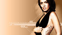 Brunettes Women Megan fox