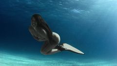 Brunettes Women mermaids nude