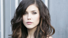 Brunettes Women sophia bush