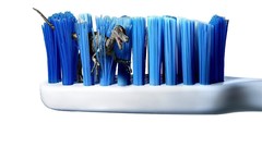 Brush Dinosaurs artwork