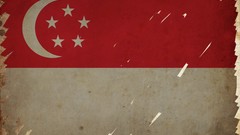 Brush Flags Asia Singapore