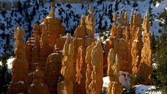 Bryce canyon Utah rock