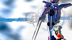 Bubblegum crisis Anime