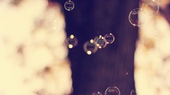 Bubbles