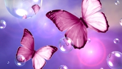 Bubbles colorful pink Beauty