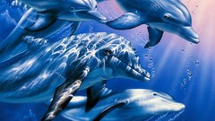 Bubbles Dolphins underwater 3d