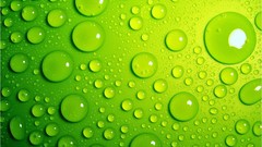 Bubbles Green