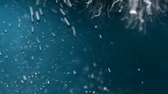 Bubbles it stretched on