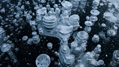 Bubbles national geographic