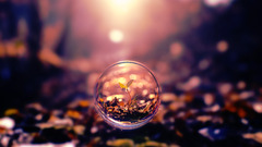 bubbles Photo manipulation macro bokeh Plants blurred nature