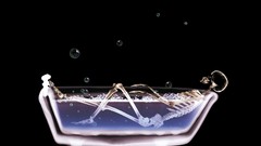 Bubbles transparent funny skeletons bathtubs