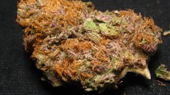 Bud marijuana kush nug