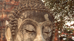Buddha