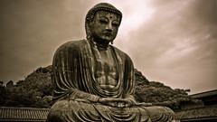 Buddha buddhism statues Temples