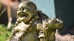 Buddha laughing