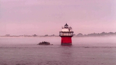 Bug lightbug light high