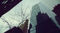 building architecture Trees City low-angle