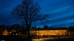 building night sky lights Trees