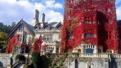 Buildings cities cityscapes