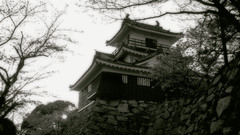 Buildings Japanese architecture