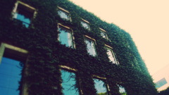 Buildings low-angle shot