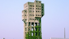 Buildings moss ruins