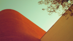 Buildings skyscapes architecture