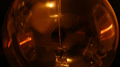 Bulb by tequilabumbum