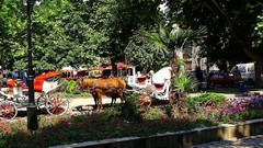Bulgaria Carriages-Main Street Sozopol