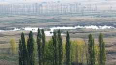 Bulgaria Dragoman marsh