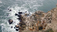 Bulgaria KaliakraView