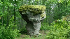 Bulgaria Strandjan sponge