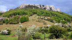 Bulgaria Urushki rocks