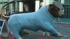 Bull Birmingham