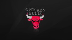 Bull chicago bulls minimalistic