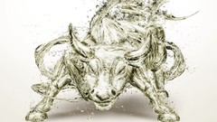 Bulls artwork digital art