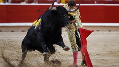 Bulls Barbaric tradition