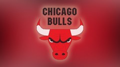 Bulls baskets