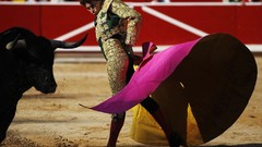 Bulls Matador bullfight