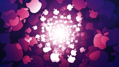 Bump computer apple core