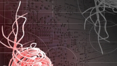 Bump wow anyone have