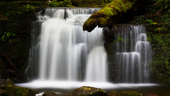 Bunch falls are walls unfortunately strickland