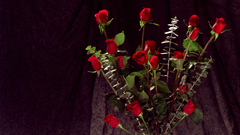 Bunch roses awesome Flowers