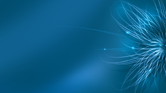 Bunch silver blue feather