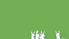 Bunnies carnivorous bunny loki