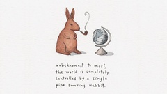 Bunnies funny globes pipes