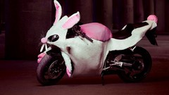 Bunnies motorbikes