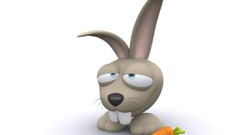 Bunnies white Animals