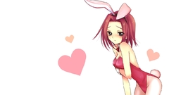 Bunny girls animal ears