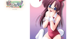 Bunny girls animal ears